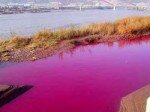 Chine - Les rejets toxiques des industries textiles dans les fleuves et rivières